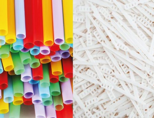 New Sustainable Future factsheet explains the ban on plastic straws and stirrers and how it will affect operators in the catering and hospitality industry.