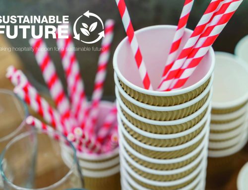 Sustainable Future factsheet explaining restriction on plastic straws and ban on stirrers is updated after Covid-19 delays implementation.